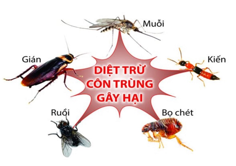 cac-loai-con-trung-gay-hai